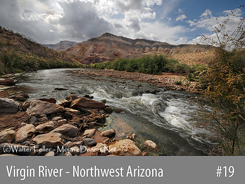 Virgin River, Virgin Gorge, Arizona