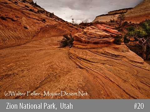 Zion National Park