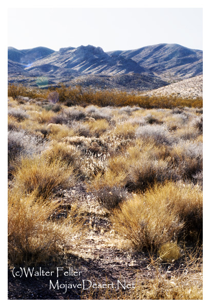 Greenwater ghost town in Funeral Mountains, Death Valley