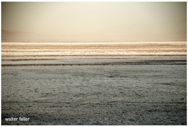 Soda Springs at Soda Lake