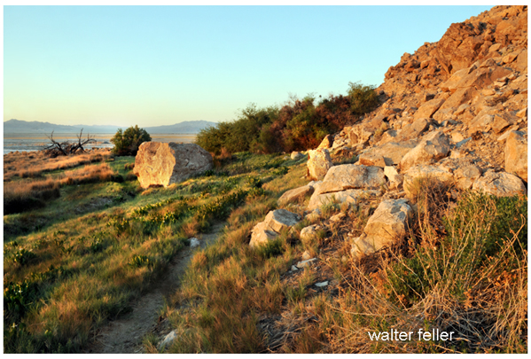 Soda Springs, Soda Lake