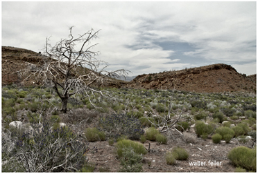 Photo of Santa Clara Divide outside of St. George, Utah