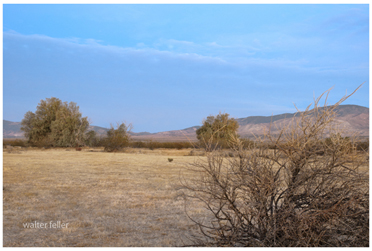 View of Oak Creek Canyon from Willow Springs, Ca.