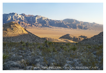 Kelso Wash, Mojave Preserve, Trail of Jedediah Smith