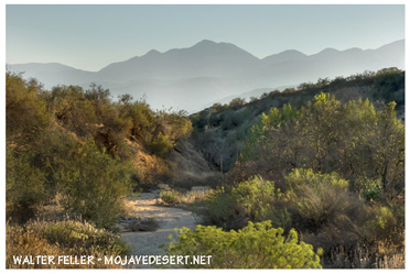 Detail photo of small ravine in Cajon Valley