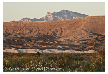 Muddy River at Mormon Mesa near Virgin River