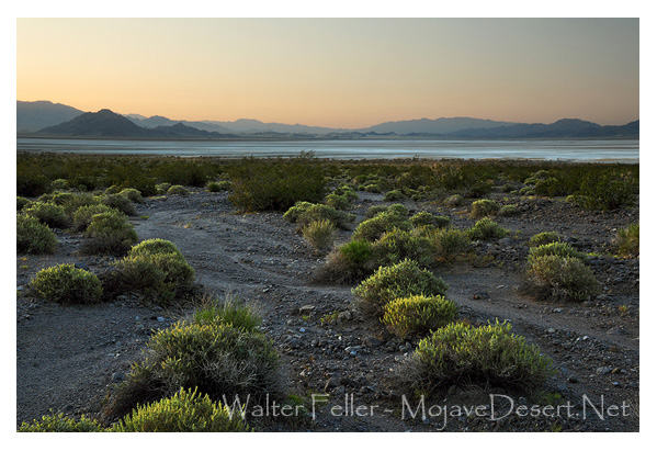 white salt plain of Soda Lake