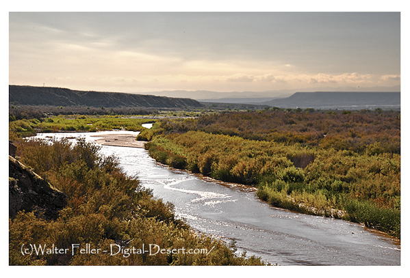 Photo of the Virgin River as it enters Nevada from Arizona