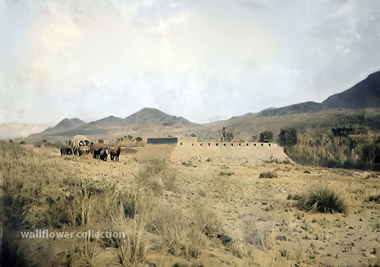 Camp Cady 19th century miltary camp along the Mojave Road