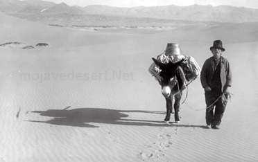 Photo of Death Valley prospector Shorty Harris