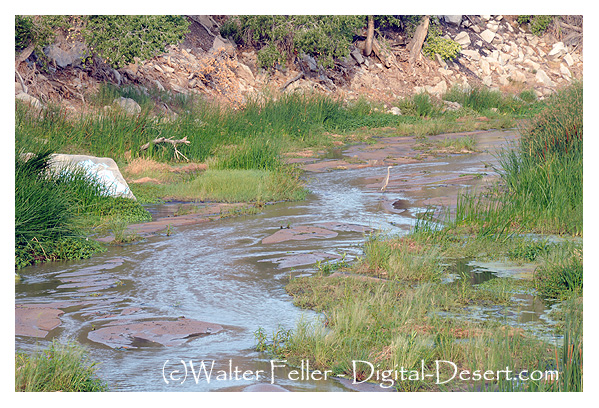 photo of aggradation in Mojave River