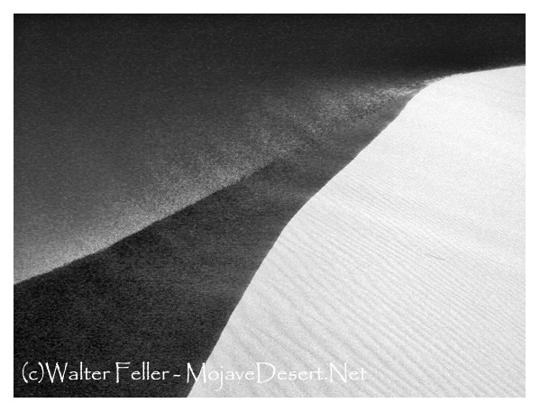 Eolian action at the top of a sand dune