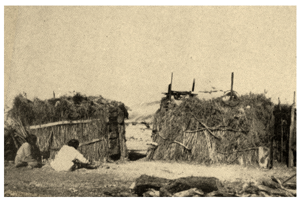 Paiute Indian camp